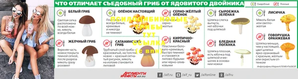 a pvp Белокуриха